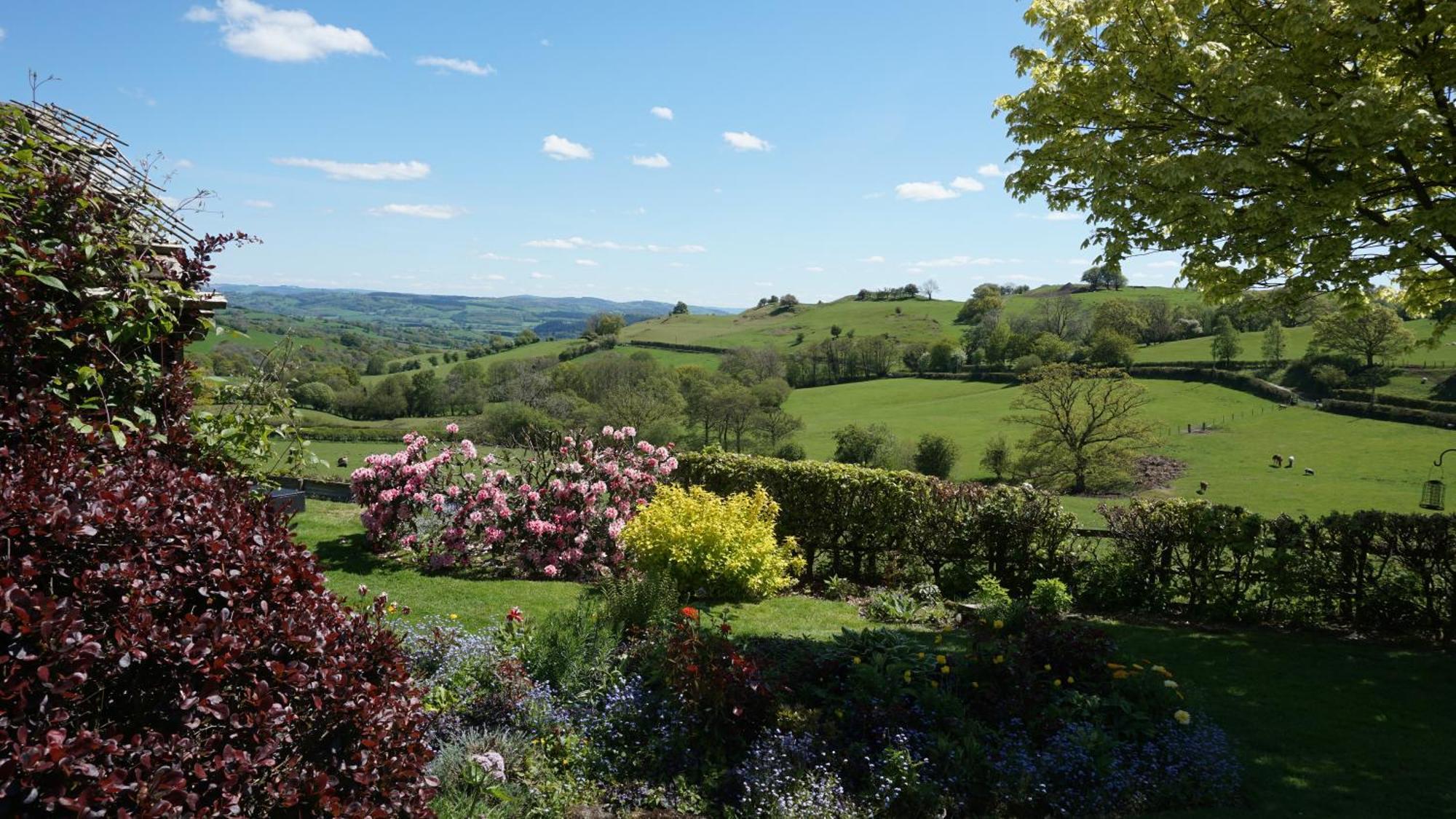 Sheep Dip Cottage - 5* Cyfie Farm, With Log Burner And Private Hot Tub Llanfyllin Εξωτερικό φωτογραφία